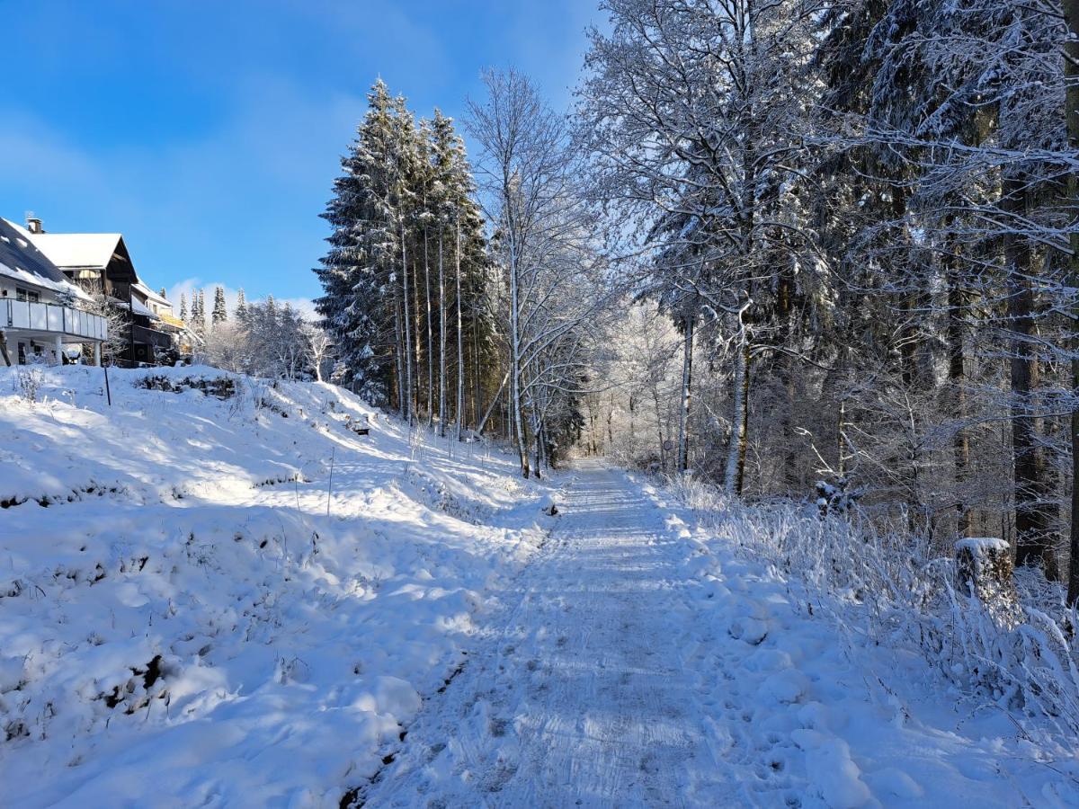 Great Apartment Winterberg Woods Medebach Exterior foto